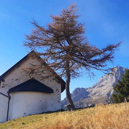 Campo Base Dolomiti Con Parcheggio Auto E Garage Moto Villa Valle di Cadore Bagian luar foto