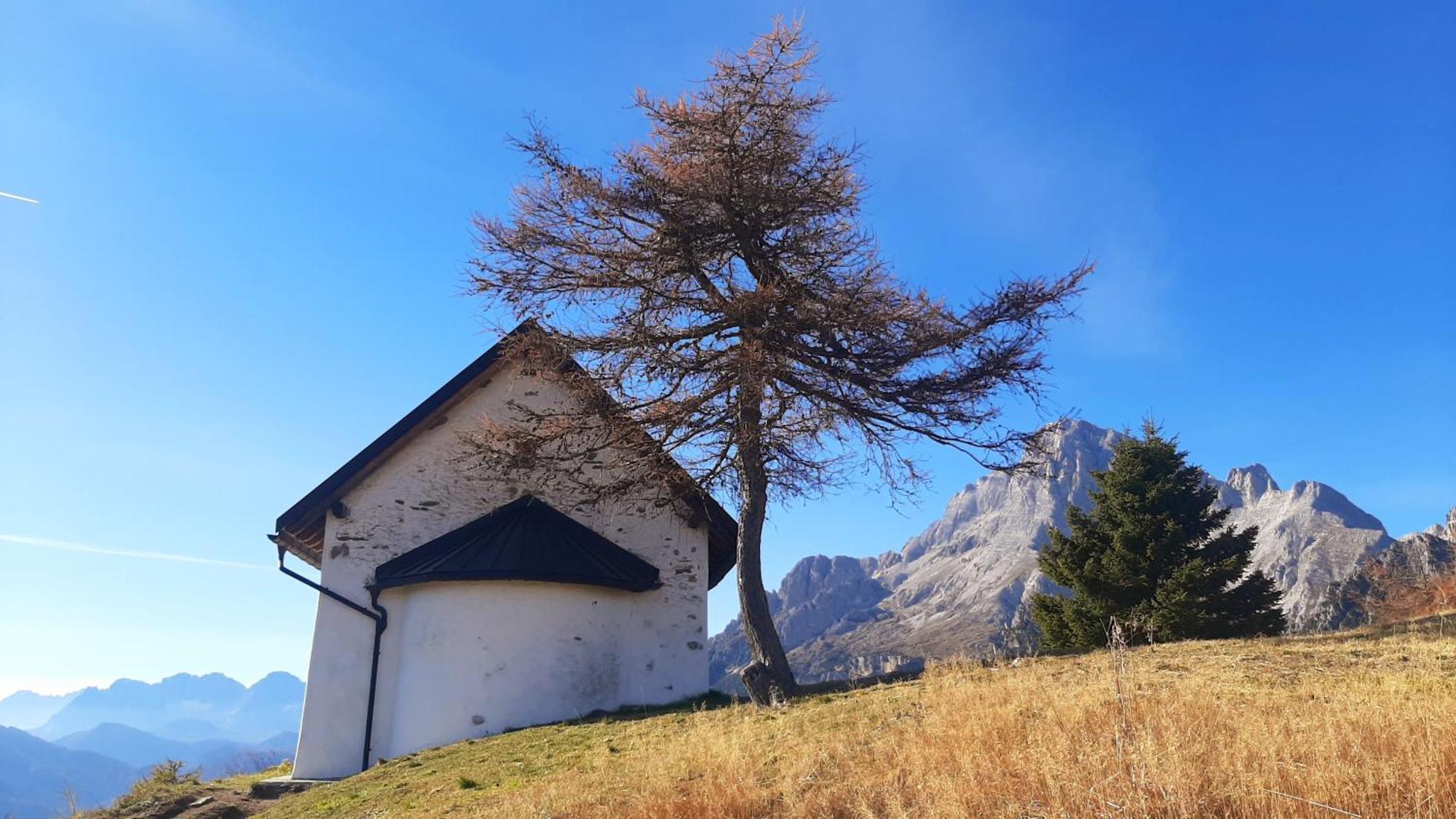 Campo Base Dolomiti Con Parcheggio Auto E Garage Moto Villa Valle di Cadore Bagian luar foto